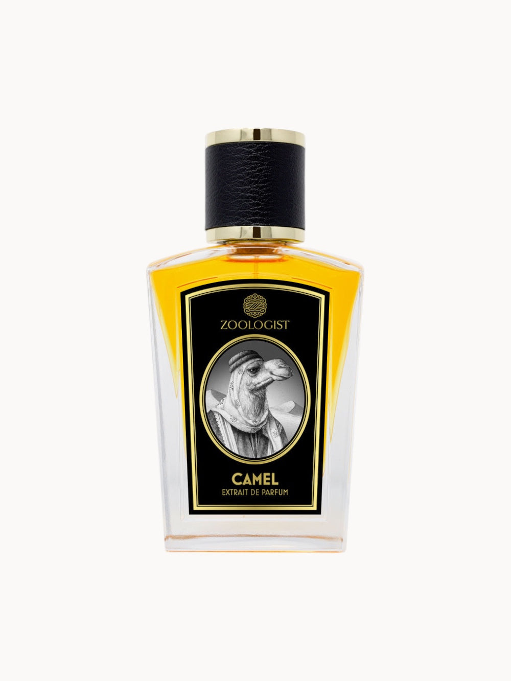 Camel