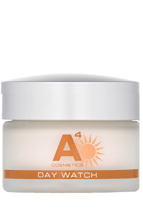 Day Watch